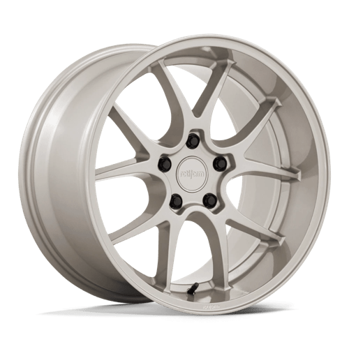 LTN-J 19X9.5 5X4.5 72 +20 G-GOLD