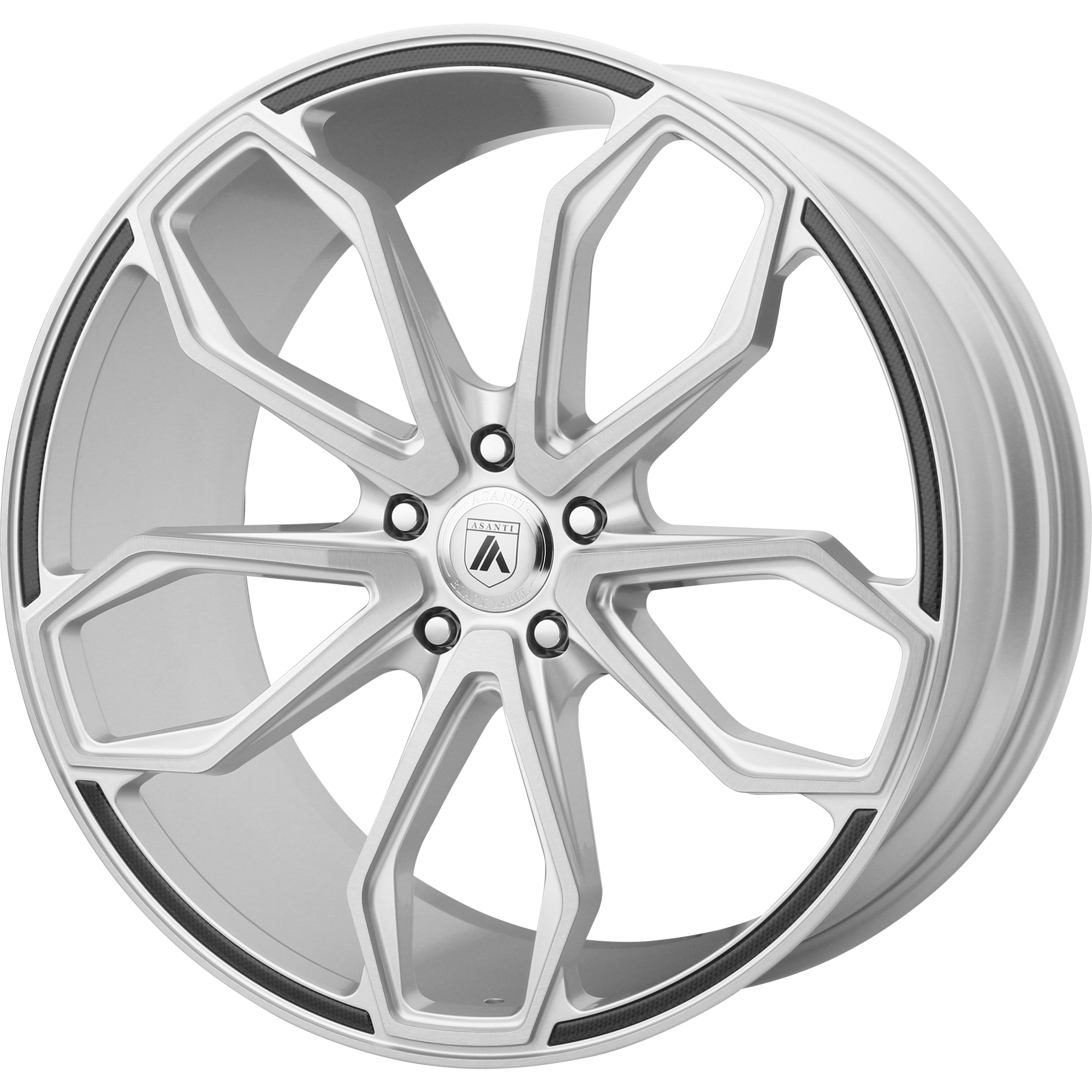 ABL19 20X10 BLANK BRUSHED SLV (108-130)