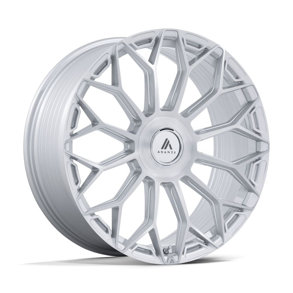 ENVOY 22X10 BLANK 72 +20 G-SLV-BRSH